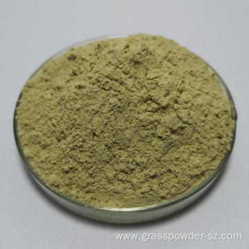 Organic Balsam pear dehydrated and dried powder